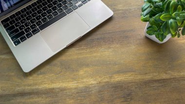 Tahta bir masada dizüstü bilgisayar, yakındaki bir saksıda çiçek, minimalizmin sembolü ve projeleri uzaktan planlamak için yaratıcı bir yaklaşım. İş geçmişi