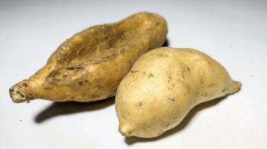 Beyaz arka planda izole edilmiş taze patates.