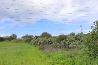 Doğanın güzel manzarası