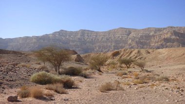 İsrail 'deki Negev Çölü manzarası