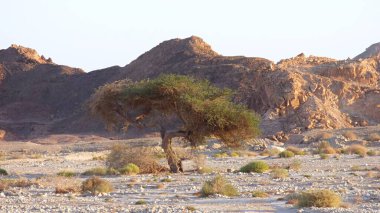 Dağların ortasında çöl.