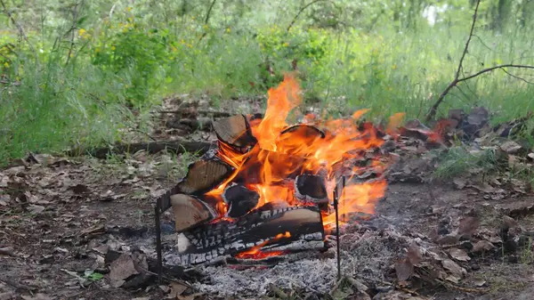 Yeşil çimenlere karşı ateş