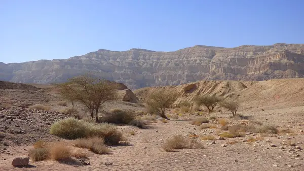 İsrail 'deki Negev Çölü manzarası