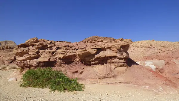 İsrail 'deki Negev çölünün güzel manzarası.