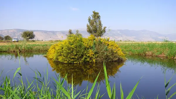 Arkasında dağlar olan küçük bir gölde küçük bir ada.