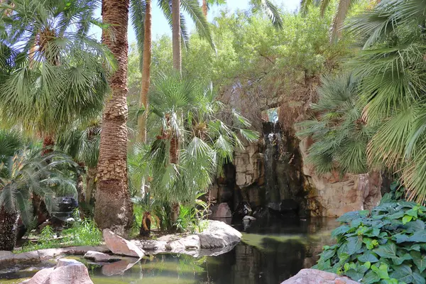 Parktaki güzel şelale