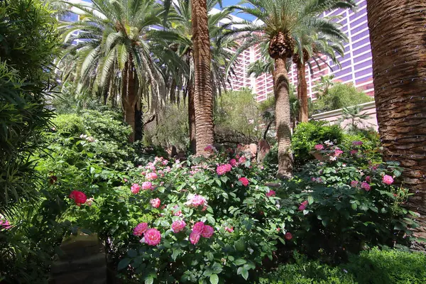 Las Vegas, Nevada 'daki otelin bahçesi.