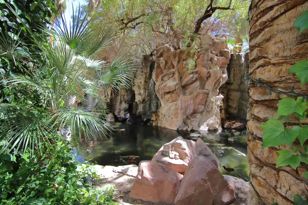 Botanik bahçesinin güzel bahçesi, Cadiz. Endülüs, İspanya. Avrupa.