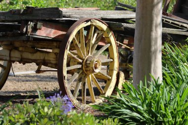 Bahçenin ortasında ahşap bir araba. Bahçede eski ahşap bir araba. Tekerleğe yakın..