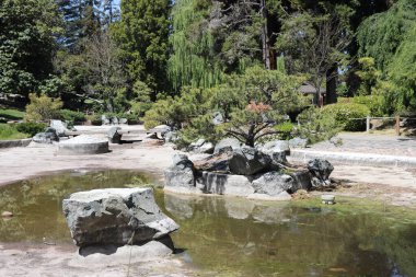 Bir botanik bahçesinde çeşme. San Jose şehrinde gölet ve kaya olan Japon bahçesi. Kaliforniya..