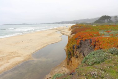 Kaliforniya eyaletinin kuzeyindeki kumsal manzarası.