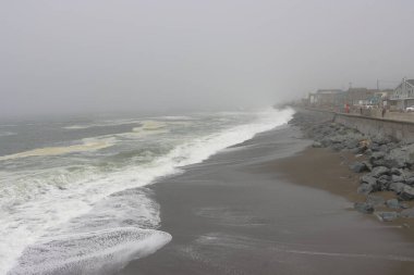 Arka planda dalgalar olan denizde bir fırtına. Monterey, California sahilinde sisli bir gün..