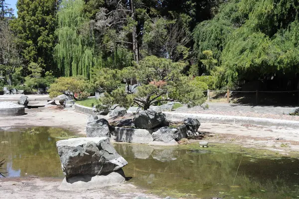 Parkdaki çeşme. Arka planda gölcükler ve ağaçlar olan Japon bahçesi, Wellington, Yeni Zelanda