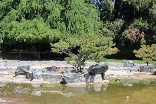 San Jose şehrinin Japon bahçesinde güzel bir park manzarası..