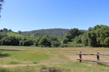 İsrail 'in kuzeyindeki parkın güzel doğası.