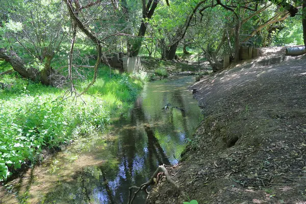 Şehir parkındaki küçük nehir..
