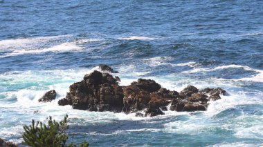 Akdeniz kıyıları.