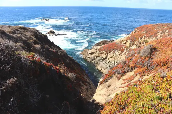 Deniz kıyısının güzel manzarası