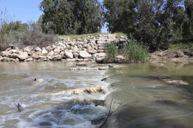 Ormandaki nehir. İspanya 'nın güneyindeki nehir, Endülüs, Costa del Sol.