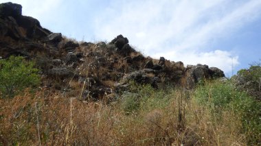 Dağlardaki güzel manzara. Ormanın ortasında, mavi gökyüzünün altında Rocky yamacı.