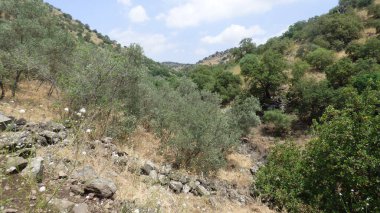 Cyrís 'deki dağlardan güzel manzara.