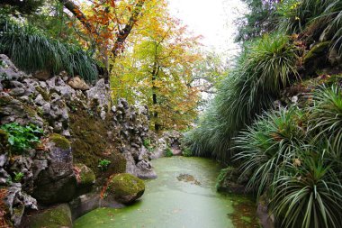 Parktaki güzel şelale. Portekiz.