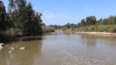 Ormandaki nehir. Ebro Nehri Katalonya, İspanya. Ebro Nehri Katalonya 'nın en büyük nehridir..