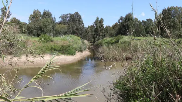 Ormandaki nehir. Ebro Nehri Katalonya, İspanya. Ebro Nehri Katalonya 'nın en büyük nehridir..