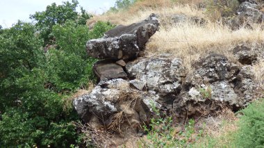 Yunanistan 'ın Girit adasının doğasında bir kayanın yakın çekim görüntüsü. Taşlar ve bitki örtüsü