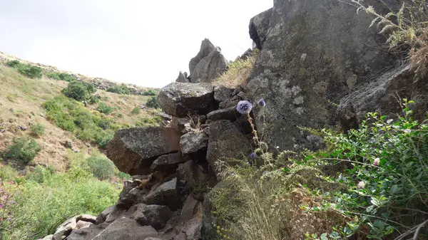 Yunanistan 'ın Girit adasının doğasında bir kayanın yakın çekim görüntüsü. Taşlar ve bitki örtüsü