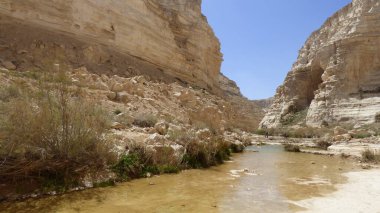 Vadi Musa, İsrail 'deki Negev Çölü' nde bir vadi.