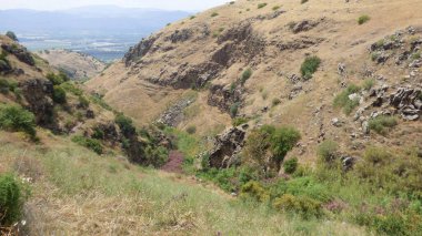 Dağların manzarası ve köye giden yol. Kuru otlarla kaplı bir dağ manzarası. İsrail 'in Celile dağlarının manzarası. Bahar geldi..