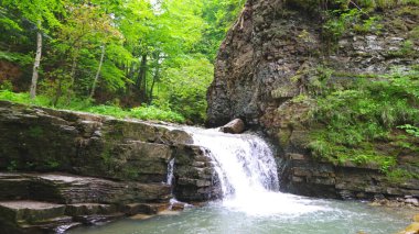 Dağlarda şelale. Ukrayna.