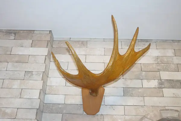 Geyik boynuzları tuğla bir duvarda ahşap bir stantta.