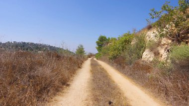 Cyrus 'taki yeşil tepelerin arasındaki yol..