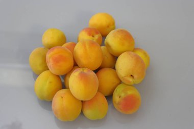 Taze sarı ve kırmızı su tesisatı. Beyaz arka planda olgun kayısılar, yakın plan fotoğrafı.