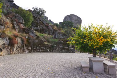 Parkın güzel manzarası