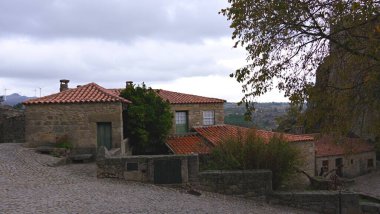 Arka planda taş duvar olan güzel bir caddenin dikey görüntüsü.