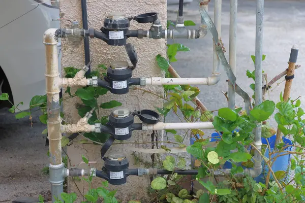 Bahçedeki su ikmal sistemi için su sayacı ve hortum. Su tedarik sistemi.