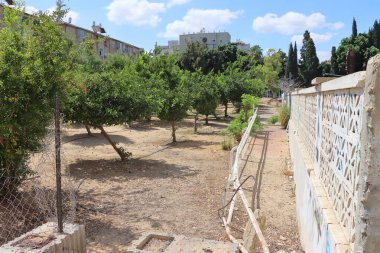 Merkezde turuncu bahçe Rishon Letzion, İsrail.