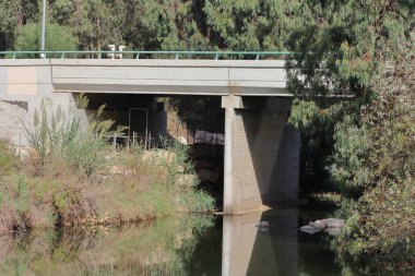 Nehrin üzerindeki köprüde. Parkta. Fotoğrafın yakın çekimi.