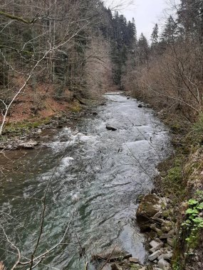 Ormanda yürü. Güzel bir gün. Bahar. Mavi Göl.