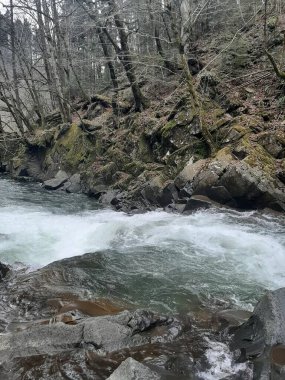Ormanda yürü. Güzel bir gün. Bahar. Mavi Göl.