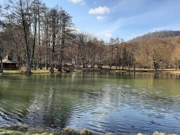 Göl kenarında dinlenme. Doğa. Sakin ol. Sakin ol..
