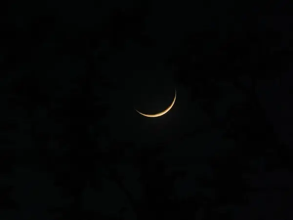 İyi geceler, genç ay. Sessiz ol, karanlık..