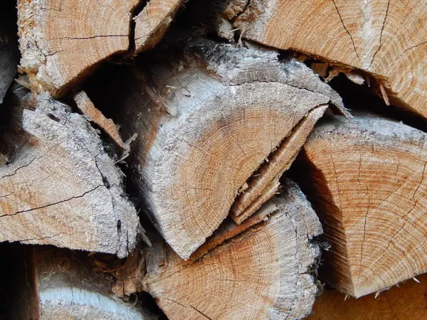 Yakacak odun. Kış için hazırlanıyorum. Tahta.