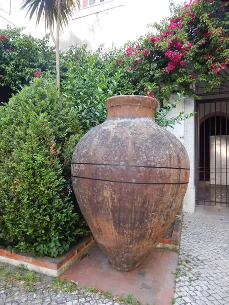 Bahçedeki büyük vazo. Portekiz.