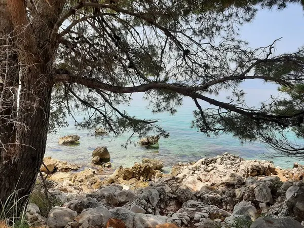 Güzel bir deniz manzarası. seyahat, doğa Hırvatistan