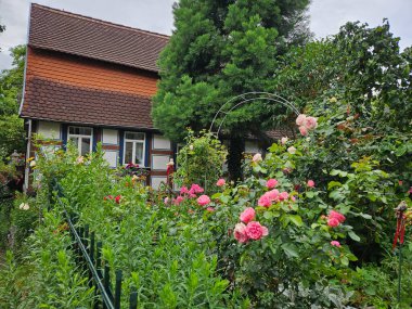 Bahçedeki güzel çiçekler