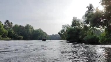 Arkadaki suda güzel ve yeşil bir tekne gezisi. Kerala 'da Poovar Gölü. Yolculuk mangrov ormanları ve hindistan cevizi ağaçlarıyla çevrilidir. Seyahat ve rahatlama için arka plan 